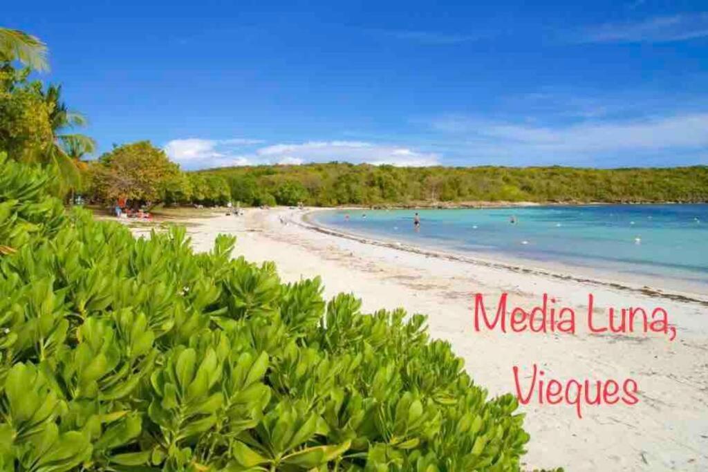 Ocean & Mountains View, Marina, Ferry, Vista Mar, Costa Esmeralda Ceiba Exterior photo